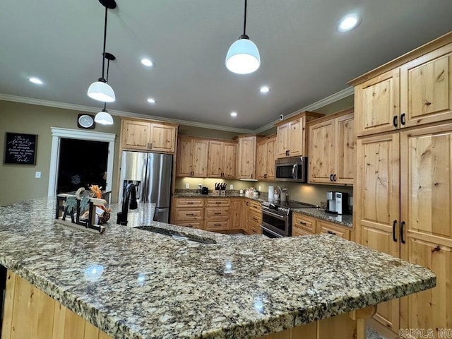 kitchen featuring decorative light fixtures, a large island, and stainless steel appliances