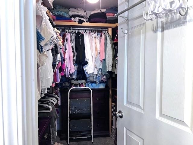 view of spacious closet