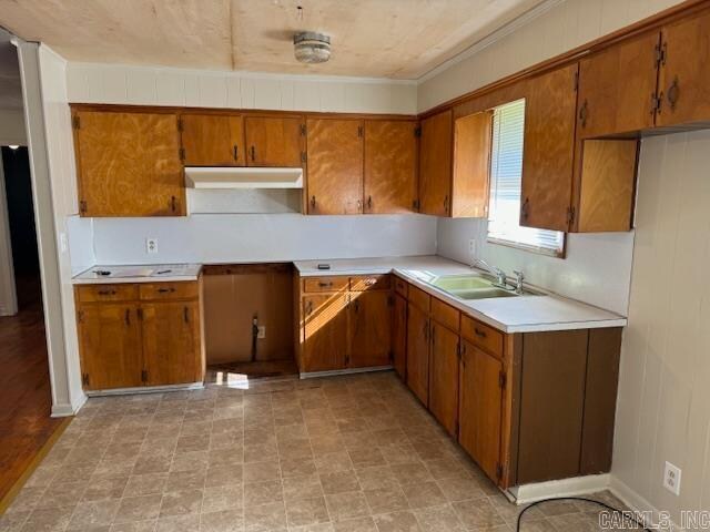 kitchen featuring crown molding and sink