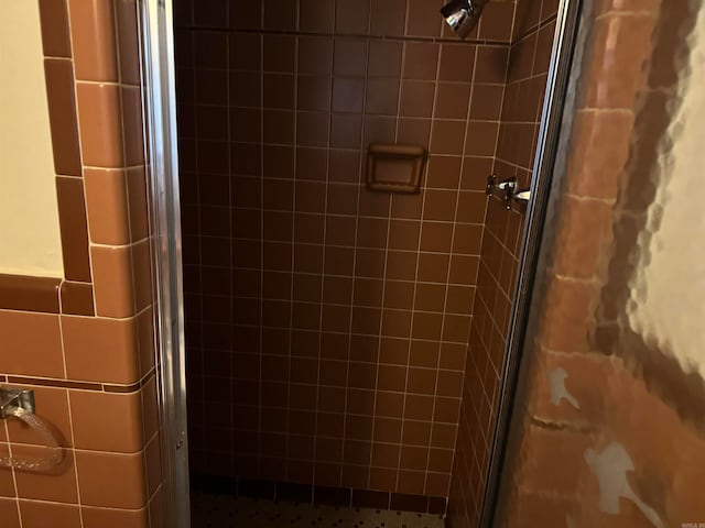 bathroom featuring a shower with shower door