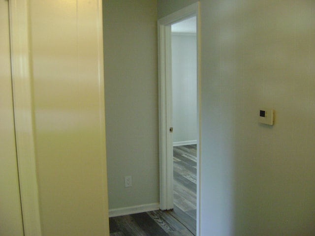 hallway featuring dark wood-type flooring