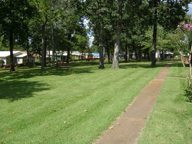 view of community with a lawn