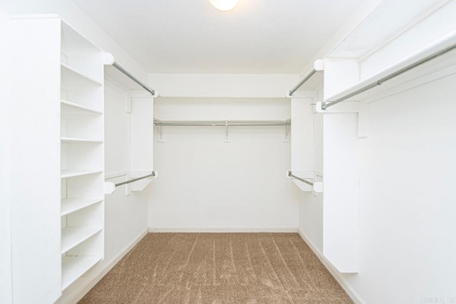 spacious closet with carpet