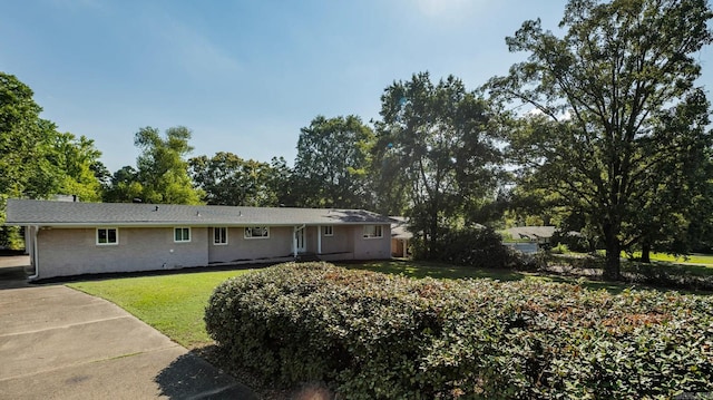 rear view of property featuring a yard