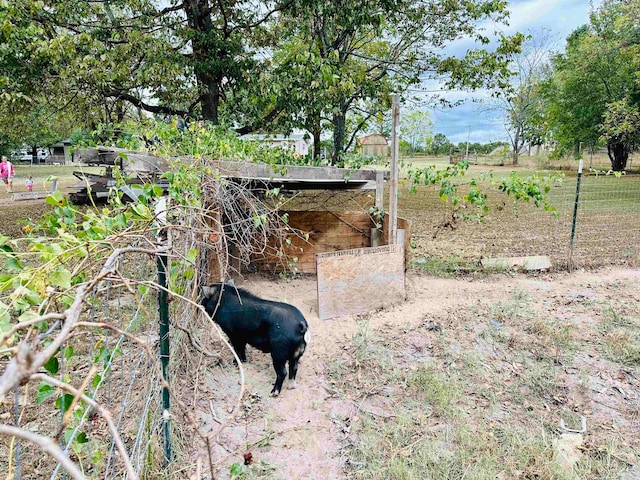 view of yard featuring a rural view