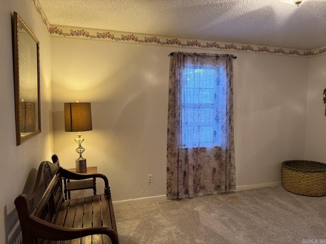 living area with a textured ceiling and carpet flooring