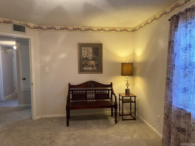 sitting room with a textured ceiling and carpet