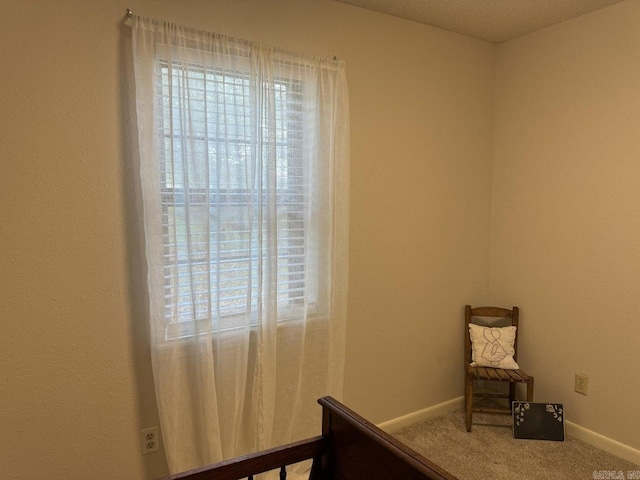 bedroom featuring carpet flooring