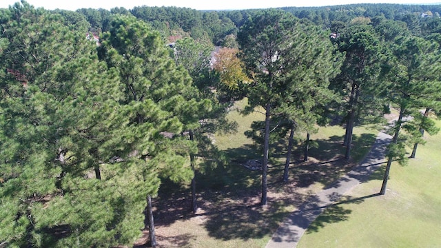 Listing photo 3 for 25 Alhaja Way, Hot Springs Village AR 71909