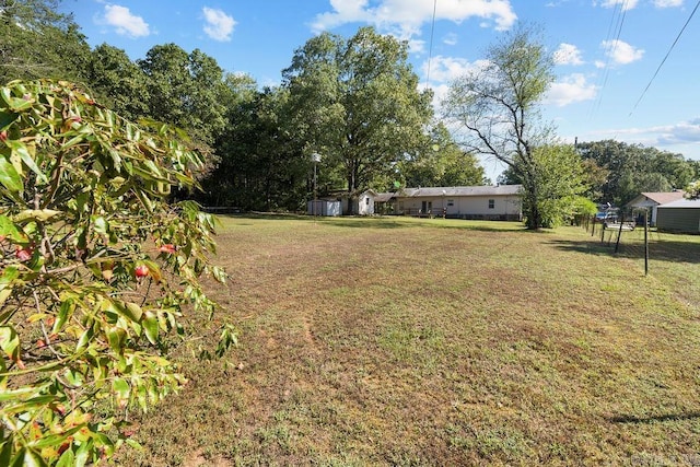 view of yard with a storage shed