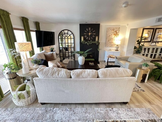 living room featuring light wood-type flooring