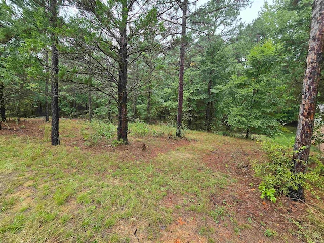 view of local wilderness