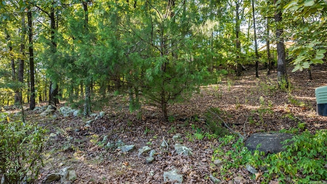 view of nature with a forest view