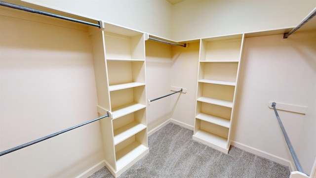 spacious closet with carpet flooring