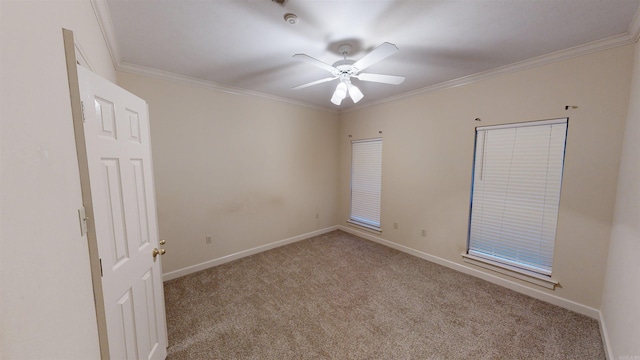 carpeted spare room with ceiling fan and crown molding