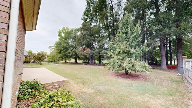 view of yard featuring a patio area