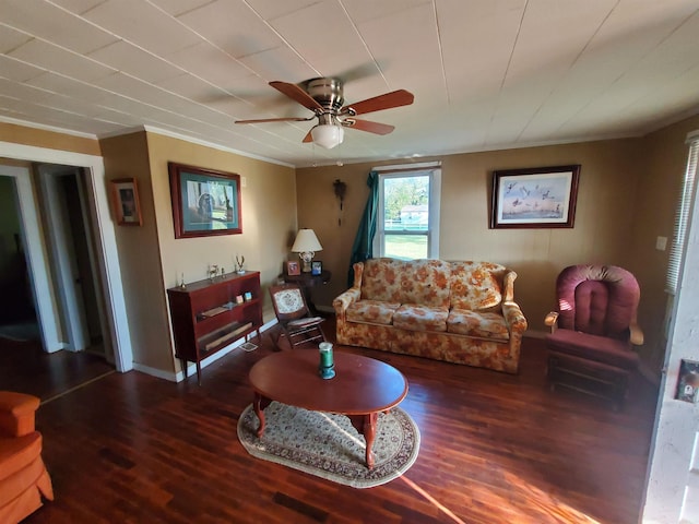 living room featuring ceiling fan, ornamental molding, and dark wood-type flooring