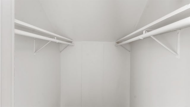 spacious closet with lofted ceiling