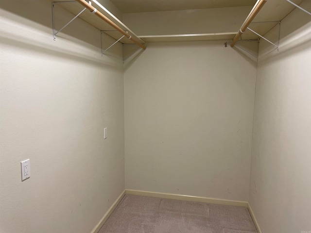 spacious closet featuring carpet flooring