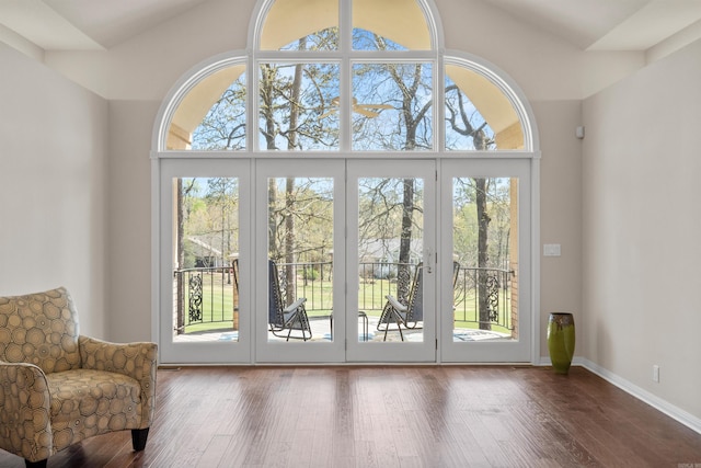 doorway to outside featuring a wealth of natural light, a towering ceiling, and hardwood / wood-style floors