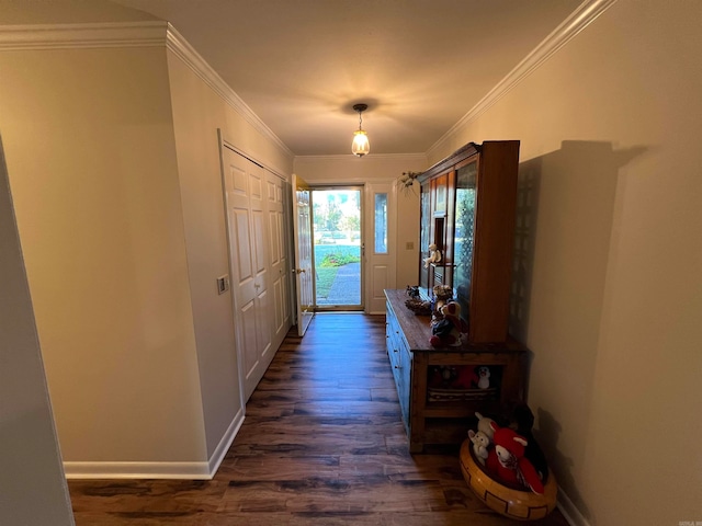 doorway with crown molding and dark wood-type flooring