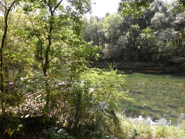 view of local wilderness