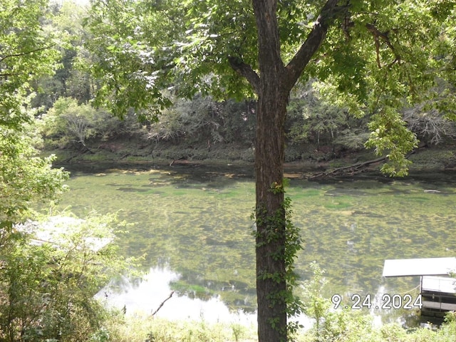 view of yard featuring a water view