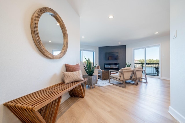 living room featuring light hardwood / wood-style flooring