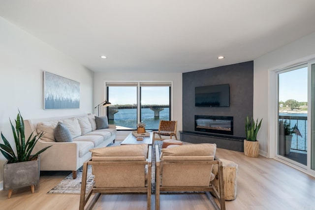 living room featuring a fireplace, light wood-type flooring, and a wealth of natural light