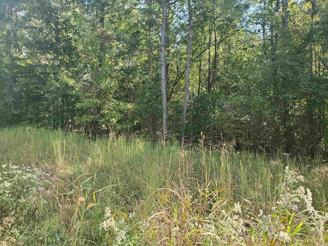 000 Tree Lakes Dr, Searcy AR, 72143 land for sale