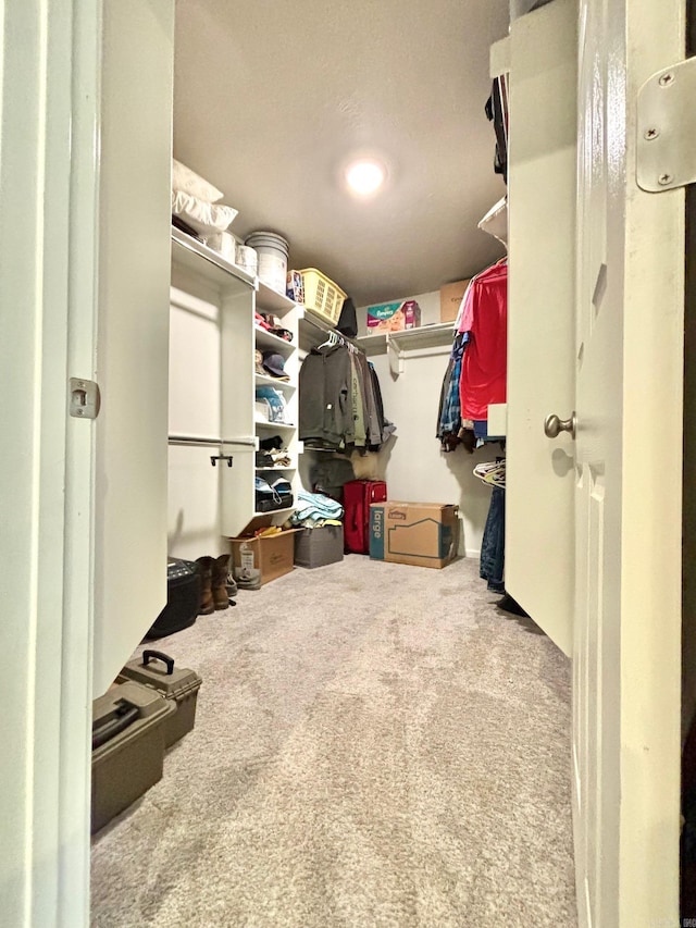 walk in closet featuring carpet flooring