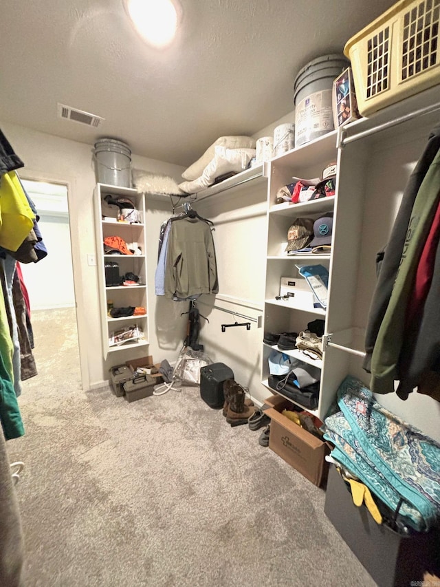 walk in closet with carpet flooring