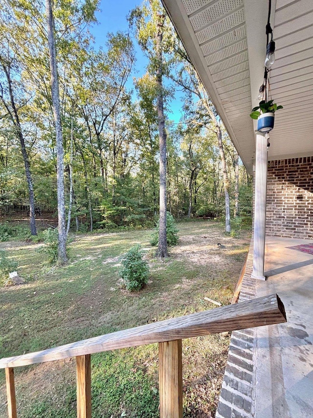 view of yard featuring a patio area