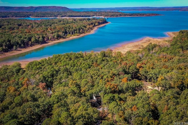 birds eye view of property with a water and mountain view