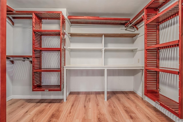 spacious closet with wood-type flooring