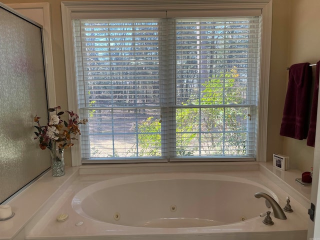 bathroom featuring a healthy amount of sunlight and a washtub