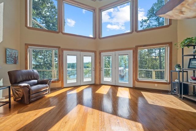 interior space with a wealth of natural light