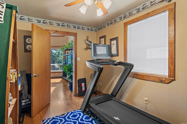 exercise area with ceiling fan and hardwood / wood-style floors