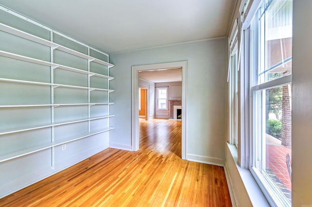 spare room featuring crown molding and light hardwood / wood-style floors