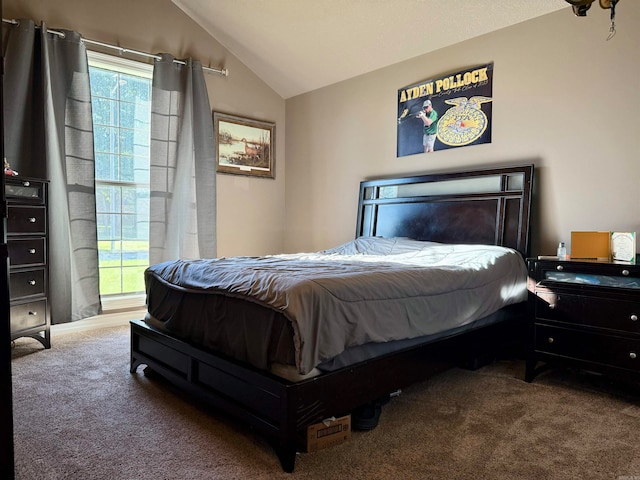 bedroom with lofted ceiling and carpet flooring