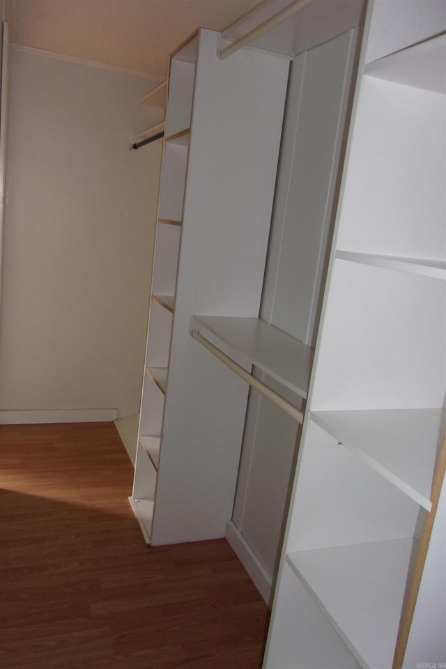 walk in closet featuring hardwood / wood-style flooring