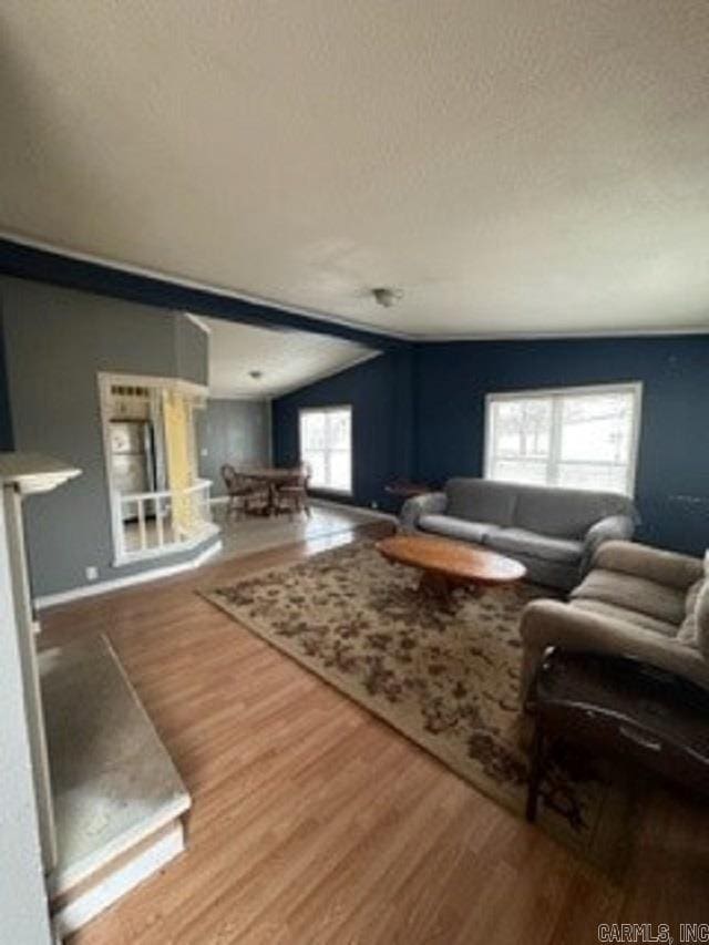 living room featuring a textured ceiling, wood-type flooring, lofted ceiling, and a wealth of natural light