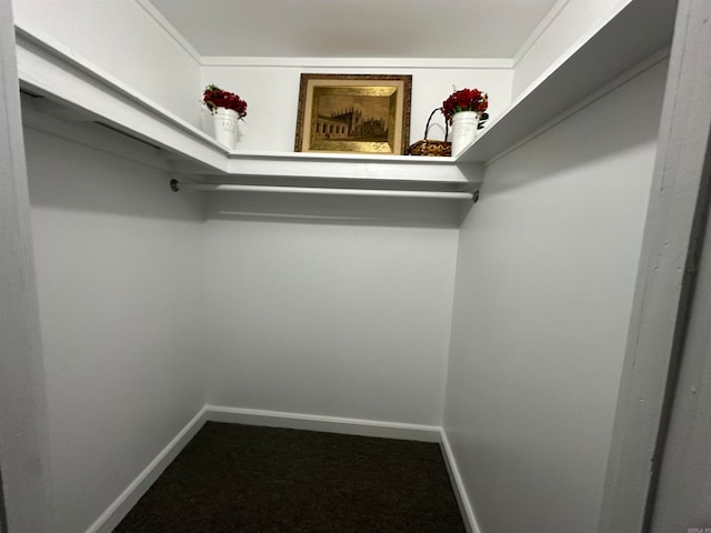 walk in closet with carpet