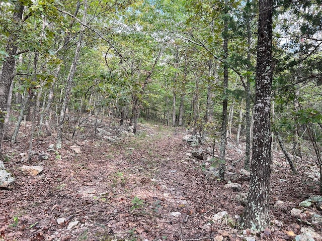 Listing photo 3 for 000 N Camp Creek Rd, Mammoth Spring AR 72554