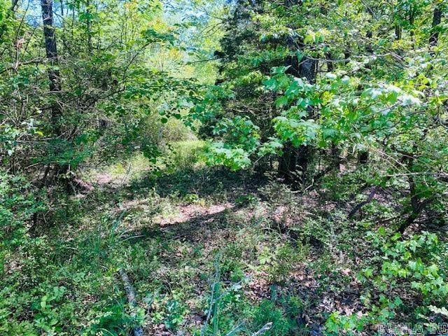 105 Polk Road 407, Cove AR, 71937 land for sale