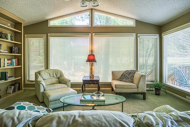 carpeted living room featuring lofted ceiling and a textured ceiling