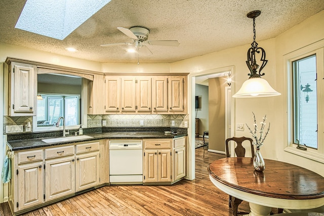 kitchen featuring decorative backsplash, dishwasher, light wood-type flooring, a skylight, and sink