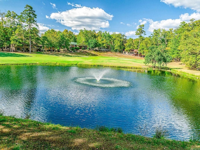 property view of water