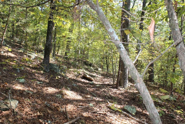 view of local wilderness