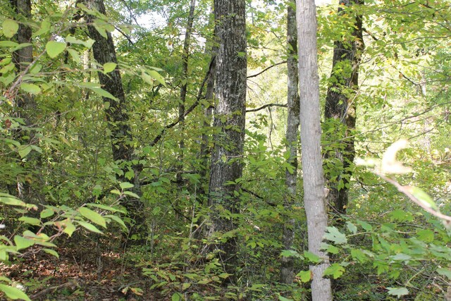 view of landscape